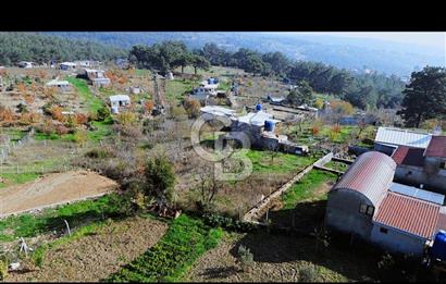 Bornova Yakaköy Mh. Cevizliyayla'da 919 m2 Satılık Bağ