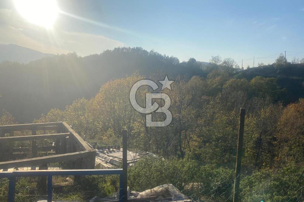 YALOVA ALTINOVA ÖRENCİK KÖYÜ 5509 M2 TARIMA UYGUN TARLA !