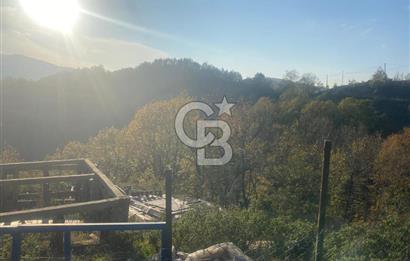 YALOVA ALTINOVA ÖRENCİK KÖYÜ 5509 M2 TARIMA UYGUN TARLA !