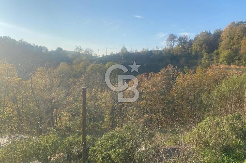 YALOVA ALTINOVA ÖRENCİK KÖYÜ 5509 M2 TARIMA UYGUN TARLA !