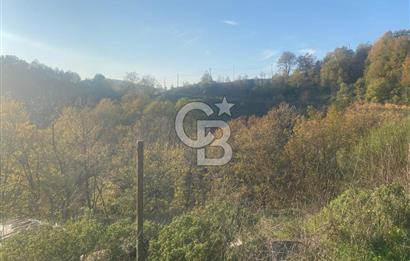 YALOVA ALTINOVA ÖRENCİK KÖYÜ 5509 M2 TARIMA UYGUN TARLA !