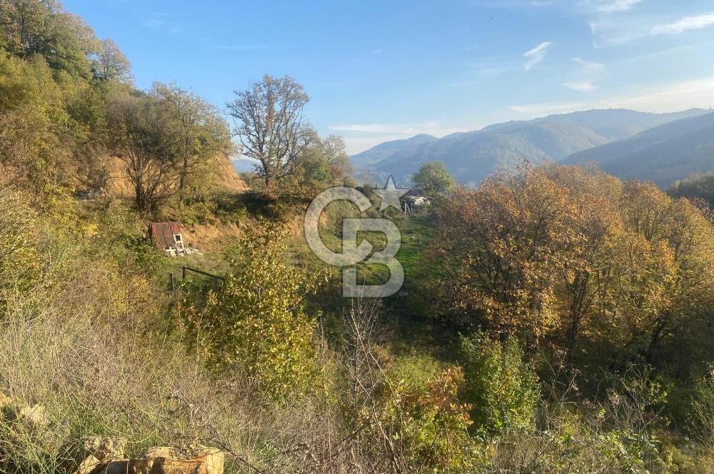 YALOVA ALTINOVA ÖRENCİK KÖYÜ 5509 M2 TARIMA UYGUN TARLA !