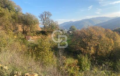 YALOVA ALTINOVA ÖRENCİK KÖYÜ 5509 M2 TARIMA UYGUN TARLA !