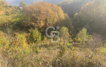 YALOVA ALTINOVA ÖRENCİK KÖYÜ 5509 M2 TARIMA UYGUN TARLA !