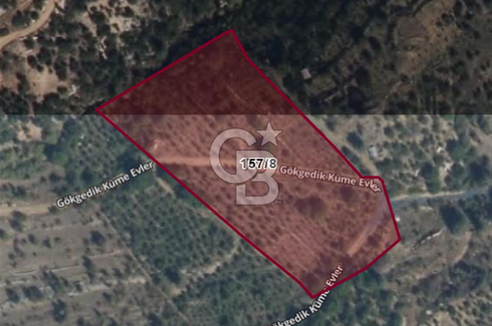 Mersin Toroslar Kavaklıpınar Köyünde Satılık Arsa