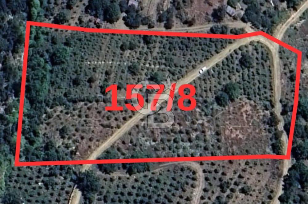 Mersin Toroslar Kavaklıpınar Köyünde Satılık Arsa