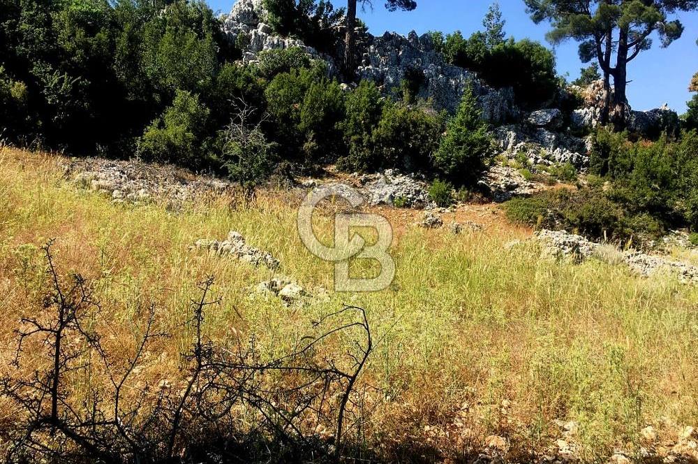 Mersin Aydıncık Pembecik Deliklitaş Mevkiinde Satılık Arsa
