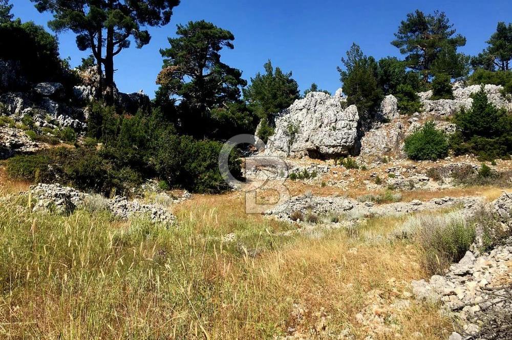 Mersin Aydıncık Pembecik Deliklitaş Mevkiinde Satılık Arsa
