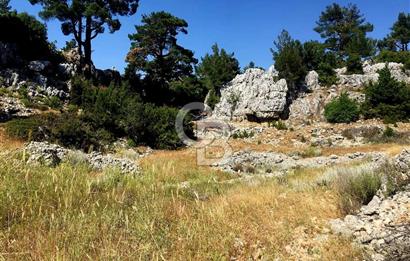 Mersin Aydıncık Pembecik Deliklitaş Mevkiinde Satılık Arsa