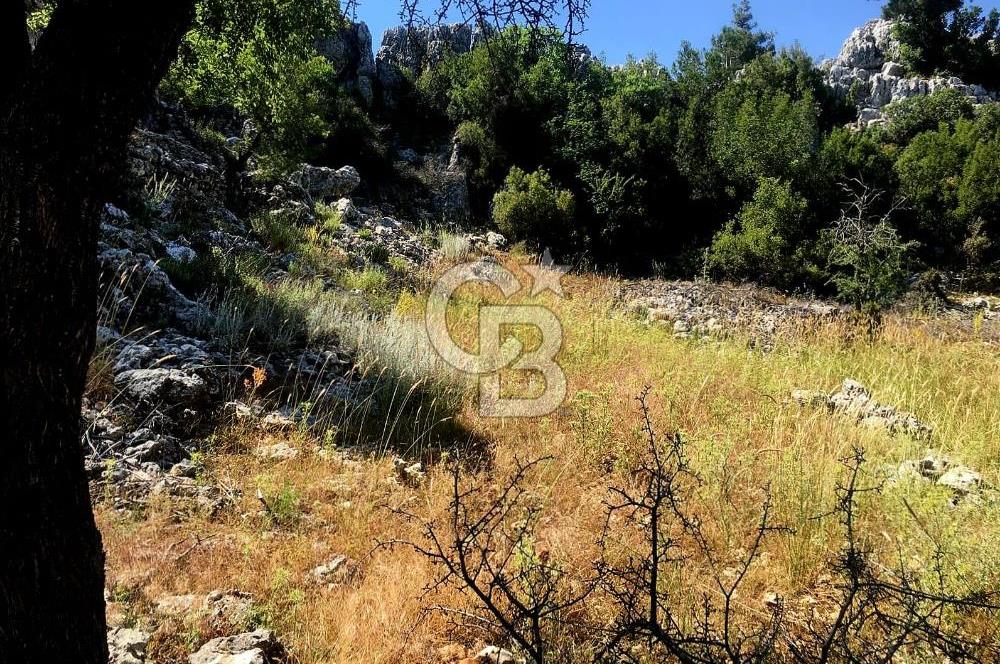 Mersin Aydıncık Pembecik Deliklitaş Mevkiinde Satılık Arsa