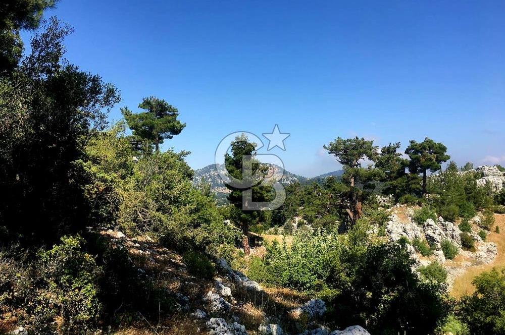 Mersin Aydıncık Pembecik Deliklitaş Mevkiinde Satılık Arsa