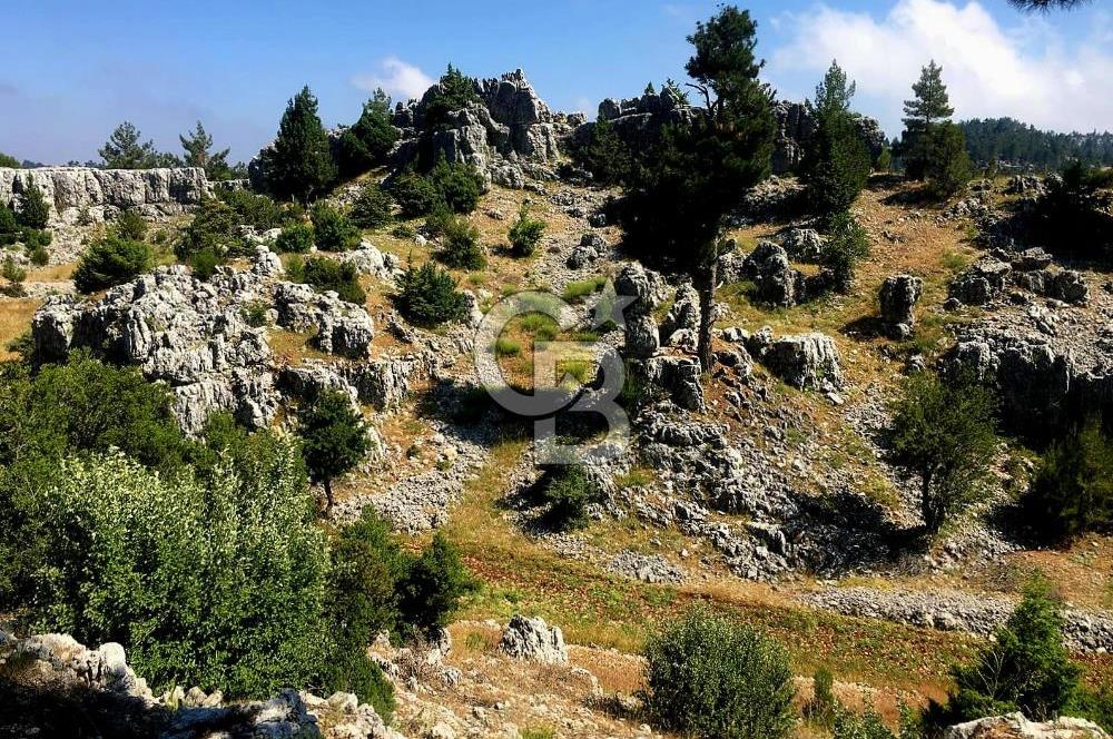 Mersin Aydıncık Pembecik Deliklitaş Mevkiinde Satılık Arsa