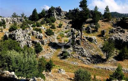 Mersin Aydıncık Pembecik Deliklitaş Mevkiinde Satılık Arsa