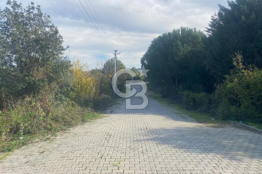 YALOVA ALTINOVA TAVŞANLI DENİZ MANZARALI 1050M2KONUT İMARLI ARSA