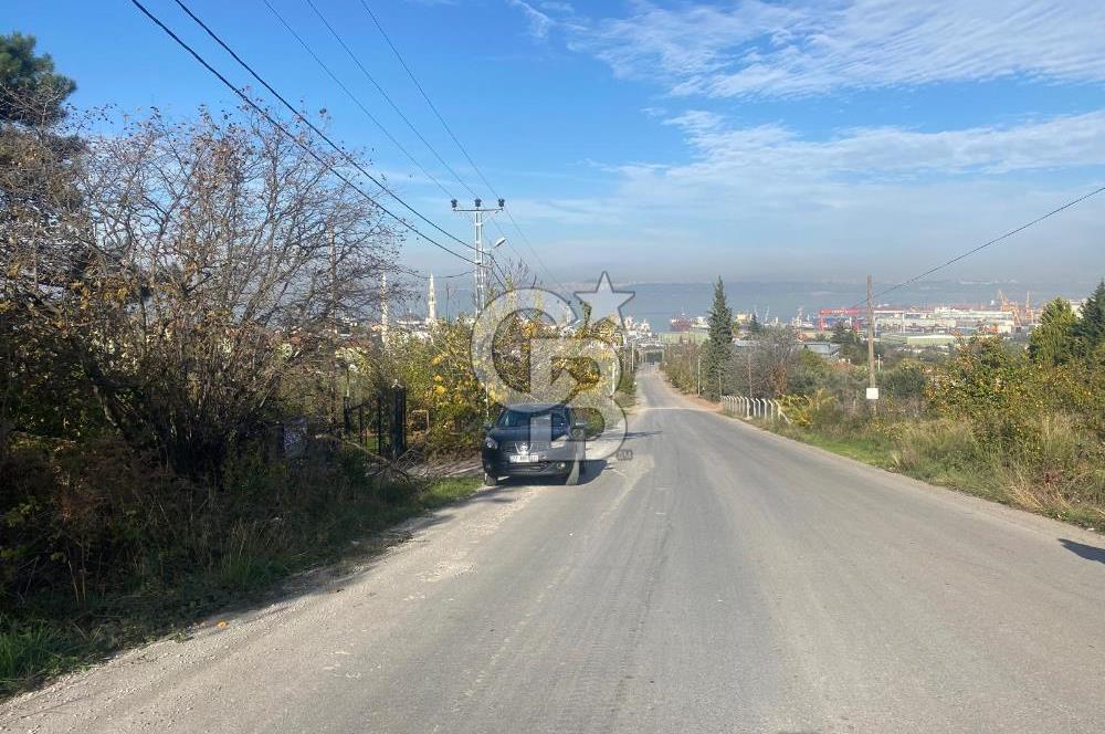 YALOVA ALTINOVA TAVŞANLI DENİZ MANZARALI 1050M2KONUT İMARLI ARSA