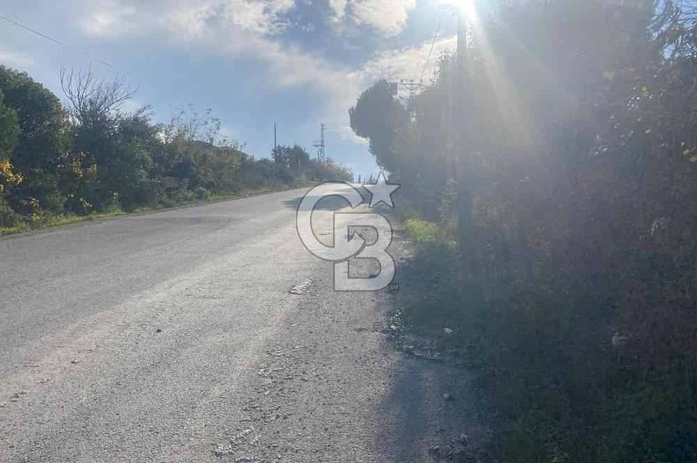 YALOVA ALTINOVA TAVŞANLI DENİZ MANZARALI 1050M2KONUT İMARLI ARSA