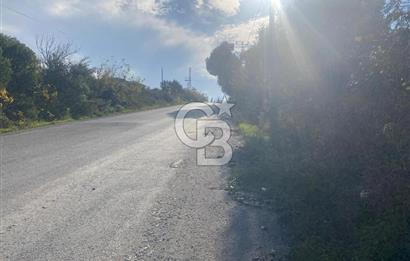 YALOVA ALTINOVA TAVŞANLI DENİZ MANZARALI 1050M2KONUT İMARLI ARSA