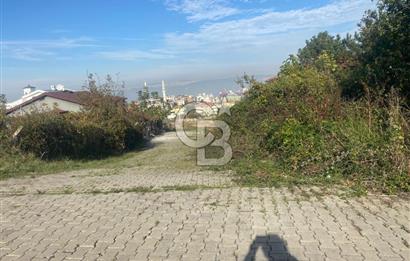 YALOVA ALTINOVA TAVŞANLI DENİZ MANZARALI 1050M2KONUT İMARLI ARSA