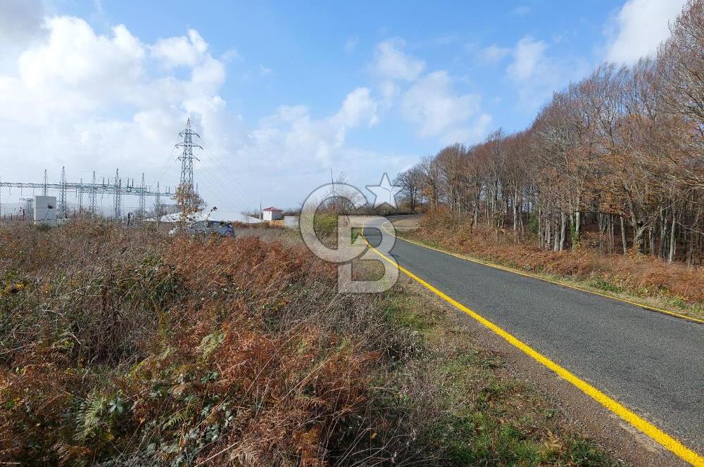 Ana Asfalta Sıfır -12.136 m² Tarla vasıflı | 100 m Yola Cepheli