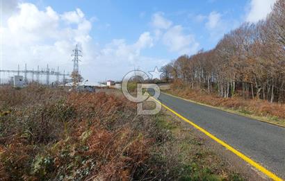 Ana Asfalta Sıfır -12.136 m² Tarla vasıflı | 100 m Yola Cepheli