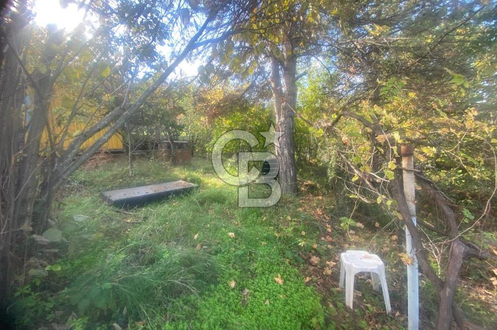 YALOVA ALTINOVA TAVŞANLI DENİZ MANZARALI 1050M2KONUT İMARLI ARSA