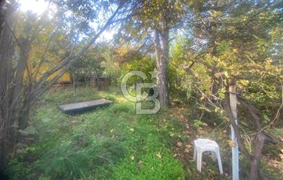 YALOVA ALTINOVA TAVŞANLI DENİZ MANZARALI 1050M2KONUT İMARLI ARSA