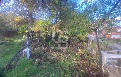 YALOVA ALTINOVA TAVŞANLI DENİZ MANZARALI 1050M2KONUT İMARLI ARSA