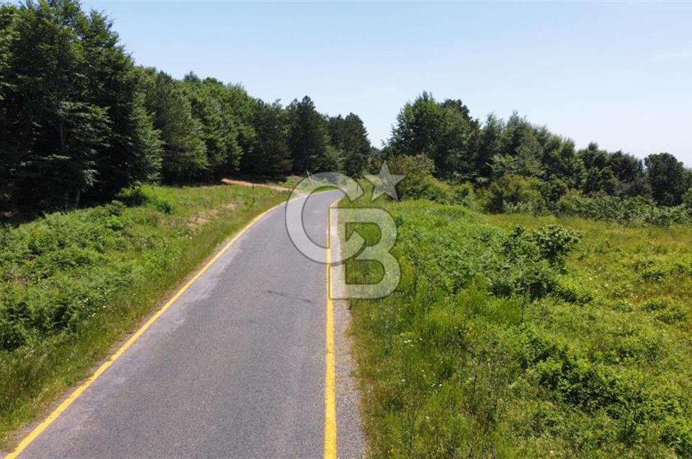 Ana Asfalta Sıfır -12.136 m² Tarla vasıflı | 100 m Yola Cepheli