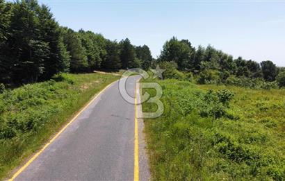 Ana Asfalta Sıfır -12.136 m² Tarla vasıflı | 100 m Yola Cepheli