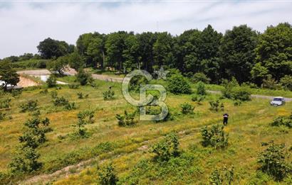 Ana Asfalta Sıfır -12.136 m² Tarla vasıflı | 100 m Yola Cepheli