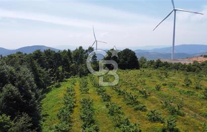 Ana Asfalta Sıfır -12.136 m² Tarla vasıflı | 100 m Yola Cepheli