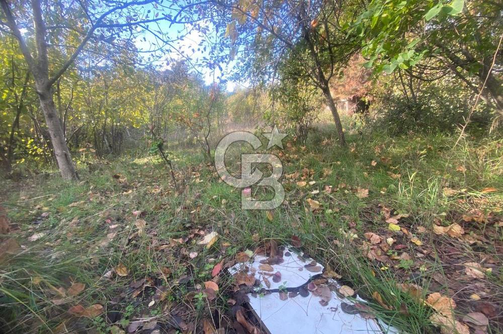 YALOVA ALTINOVA TAVŞANLI DENİZ MANZARALI 1050M2KONUT İMARLI ARSA