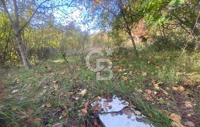 YALOVA ALTINOVA TAVŞANLI DENİZ MANZARALI 1050M2KONUT İMARLI ARSA