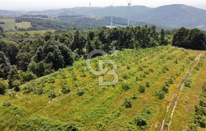 Ana Asfalta Sıfır -12.136 m² Tarla vasıflı | 100 m Yola Cepheli