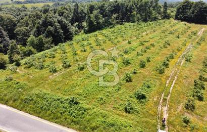 Ana Asfalta Sıfır -12.136 m² Tarla vasıflı | 100 m Yola Cepheli