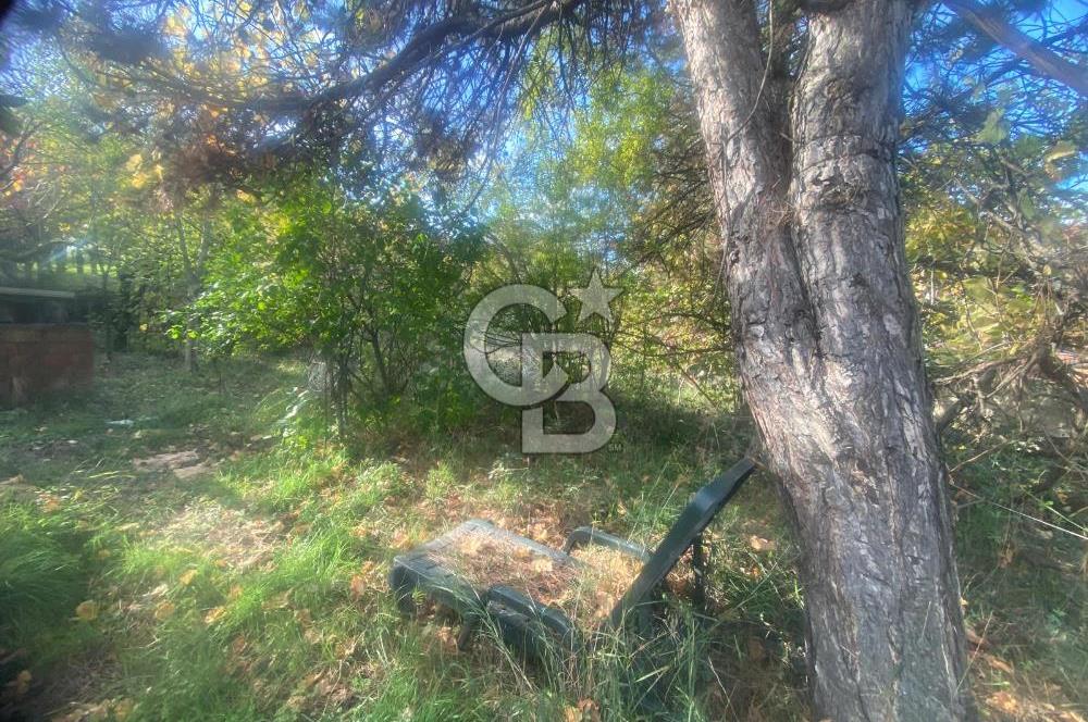 YALOVA ALTINOVA TAVŞANLI DENİZ MANZARALI 1050M2KONUT İMARLI ARSA