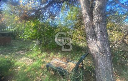 YALOVA ALTINOVA TAVŞANLI DENİZ MANZARALI 1050M2KONUT İMARLI ARSA