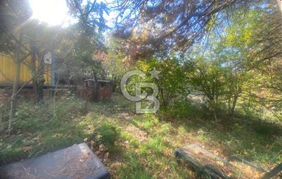 YALOVA ALTINOVA TAVŞANLI DENİZ MANZARALI 1050M2KONUT İMARLI ARSA