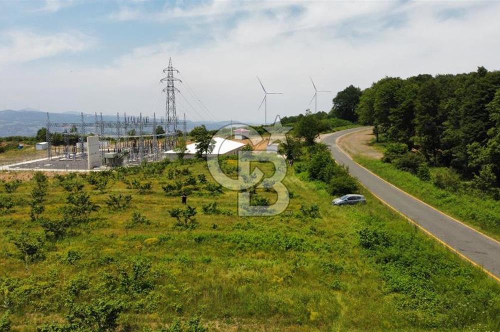 Ana Asfalta Sıfır -12.136 m² Tarla vasıflı | 100 m Yola Cepheli