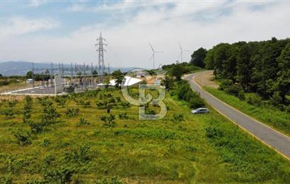 Ana Asfalta Sıfır -12.136 m² Tarla vasıflı | 100 m Yola Cepheli