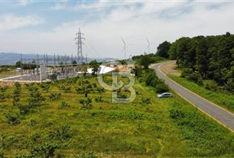 Ana Asfalta Sıfır -12.136 m² Tarla vasıflı | 100 m Yola Cepheli - 1 - 326205