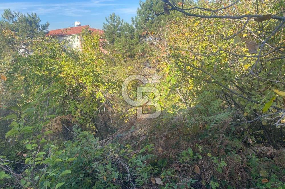 YALOVA ALTINOVA TAVŞANLI DENİZ MANZARALI 1050M2KONUT İMARLI ARSA