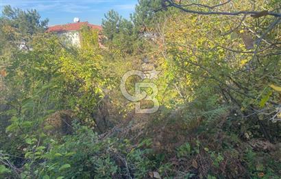 YALOVA ALTINOVA TAVŞANLI DENİZ MANZARALI 1050M2KONUT İMARLI ARSA