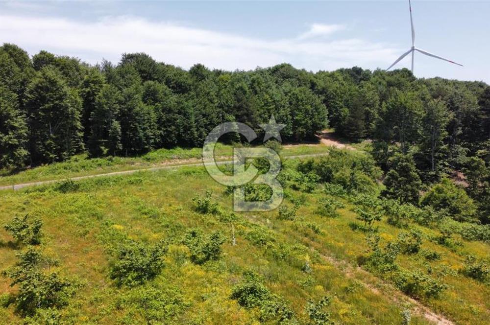 Ana Asfalta Sıfır -12.136 m² Tarla vasıflı | 100 m Yola Cepheli