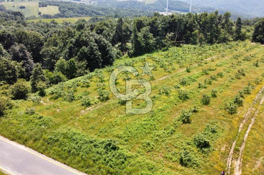 Ana Asfalta Sıfır -12.136 m² Tarla vasıflı | 100 m Yola Cepheli