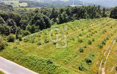 Ana Asfalta Sıfır -12.136 m² Tarla vasıflı | 100 m Yola Cepheli