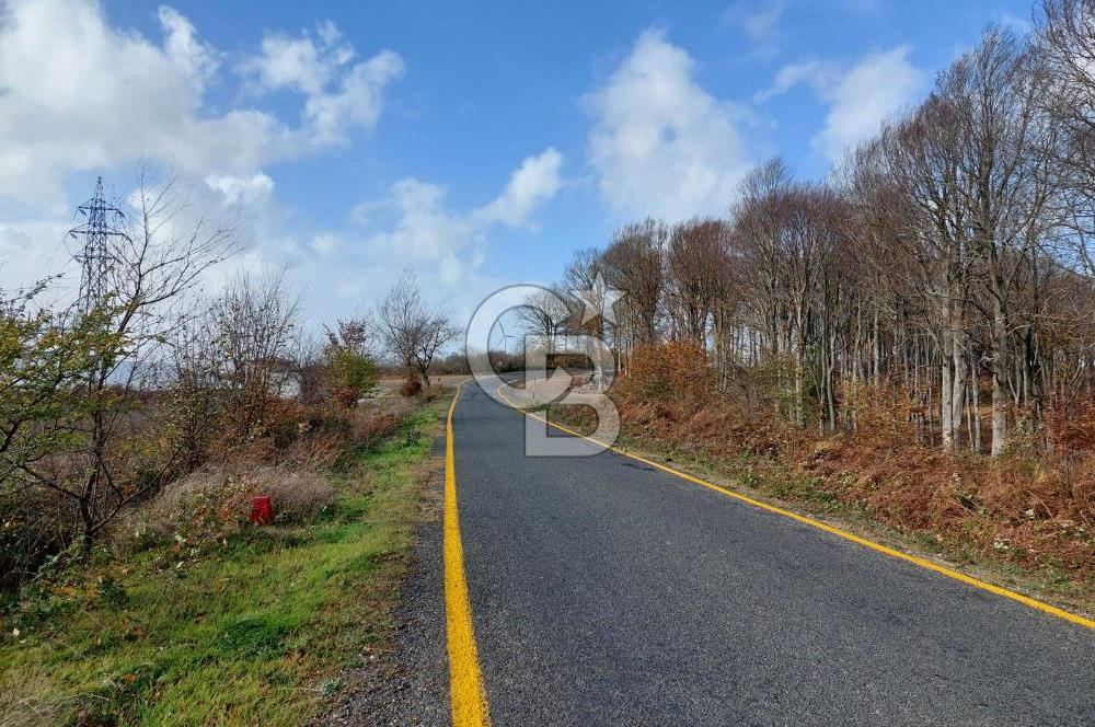 Ana Asfalta Sıfır -12.136 m² Tarla vasıflı | 100 m Yola Cepheli