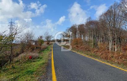 Ana Asfalta Sıfır -12.136 m² Tarla vasıflı | 100 m Yola Cepheli