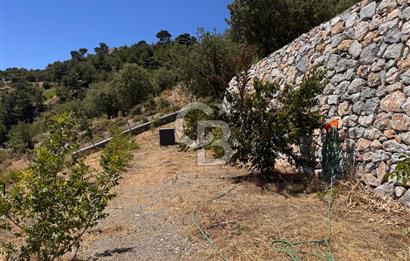 Güzelbahçe Payamlı’da Bahçe İçinde Orijinal Taş Ev