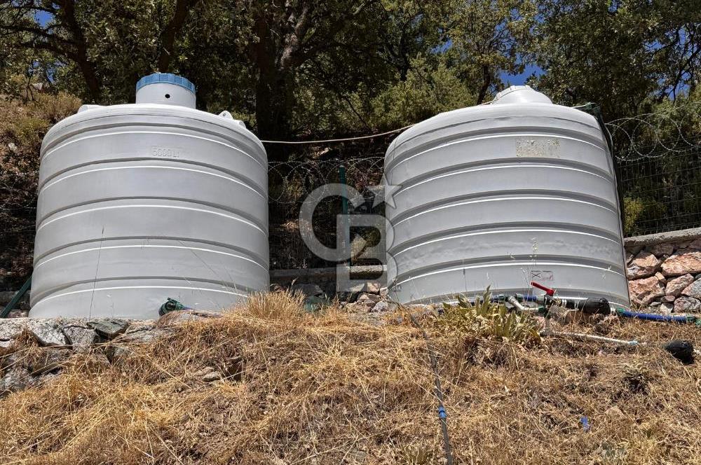 Güzelbahçe Payamlı’da Bahçe İçinde Orijinal Taş Ev